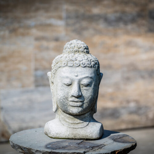 Buddha fej