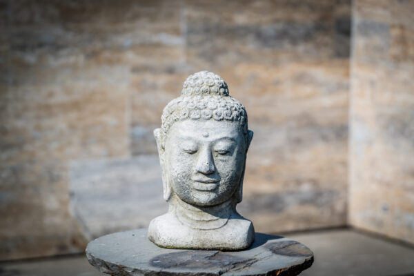 Buddha fej